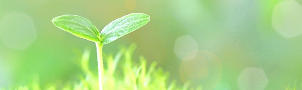 栗原食肉株式会社のお問い合わせ