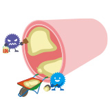 コレステロール