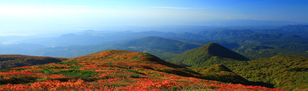 栗原食肉株式会社の社標の由来